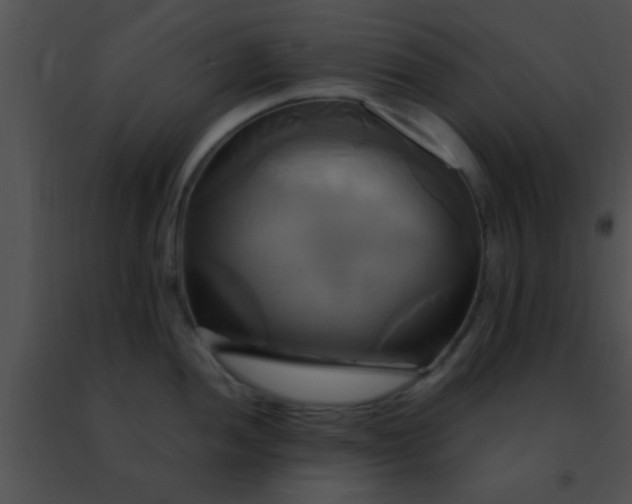 X0000091501052200708301954