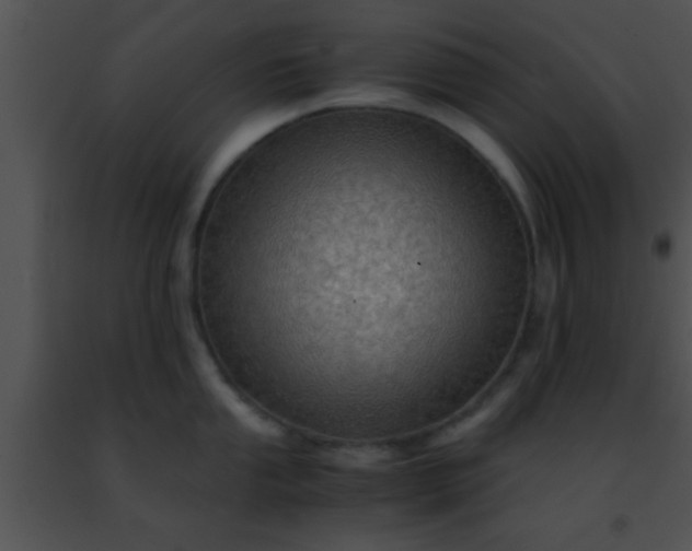 X0000091501053200708301954