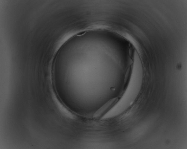 X0000091501055200708301954