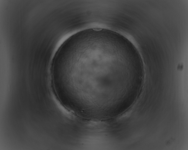 X0000091501056200708301954