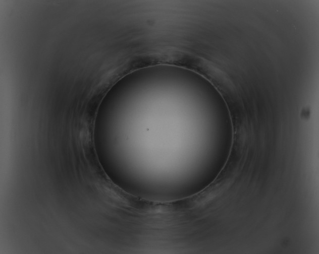 X0000091501058200708301953