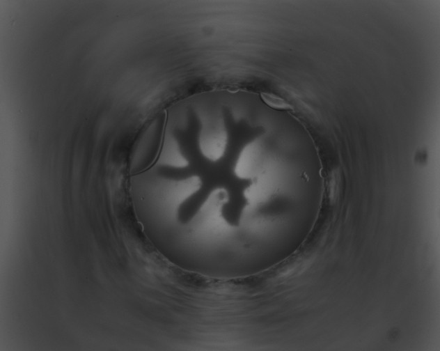 X0000091501059200708301953