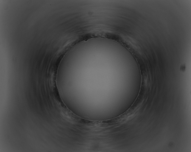 X0000091501060200708301953