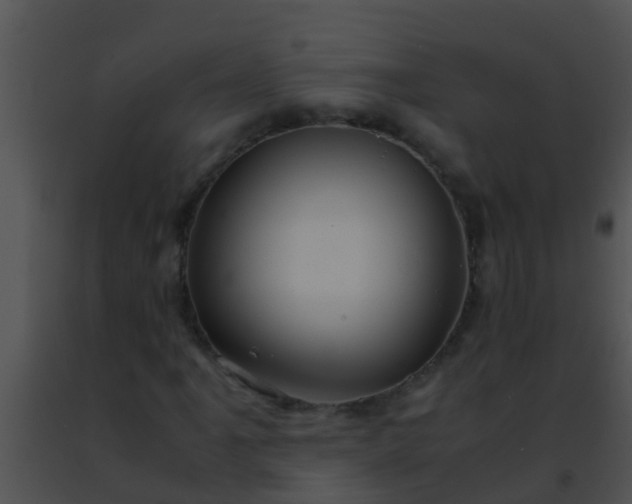 X0000091501061200708301953