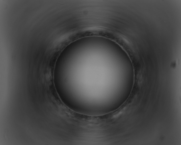 X0000091501062200708301953