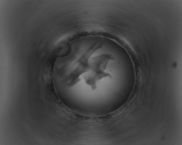 X0000091501063200708301953