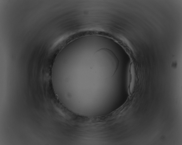 X0000091501064200708301953