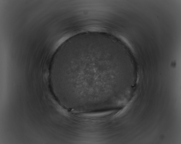 X0000091501065200708301953