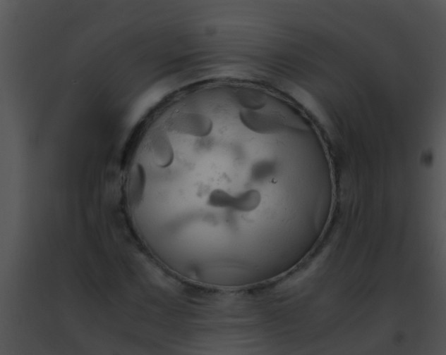 X0000091501067200708301953