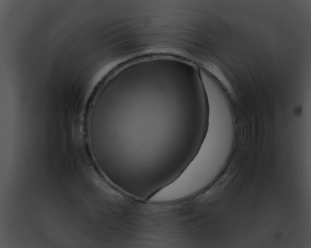 X0000091501068200708301953