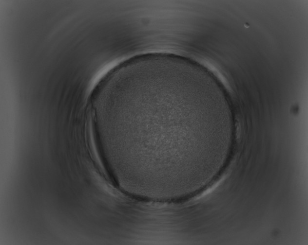 X0000091501069200708301953