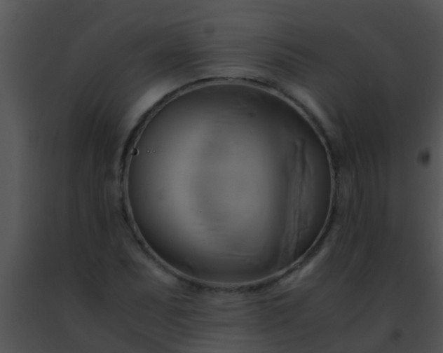 X0000091501071200708301953