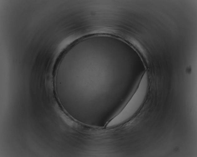 X0000091501072200708301953