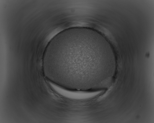 X0000091501073200708301953