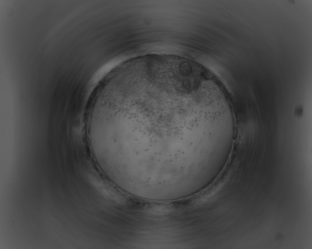 X0000091501074200708301953