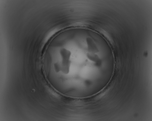 X0000091501075200708301953