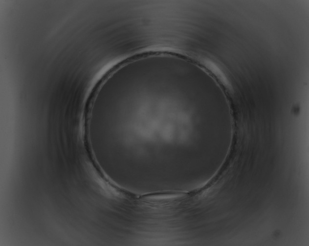 X0000091501076200708301953