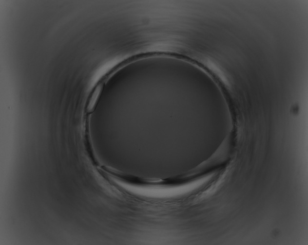 X0000091501077200708301953