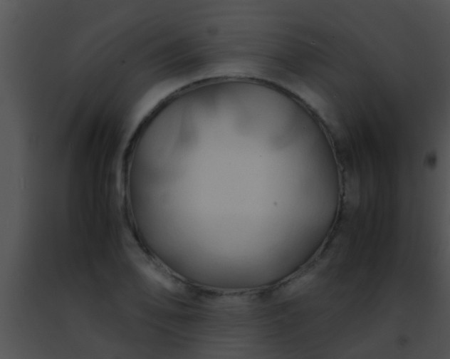 X0000091501078200708301953