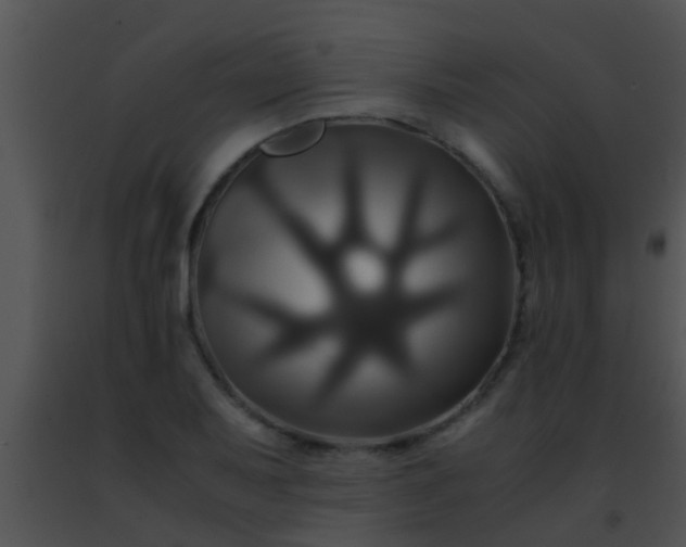 X0000091501079200708301953