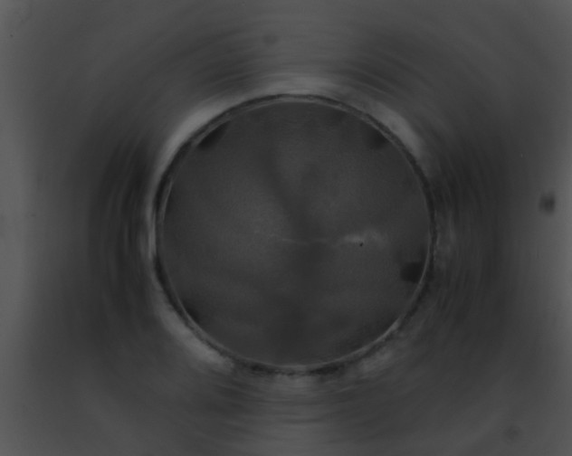 X0000091501080200708301953