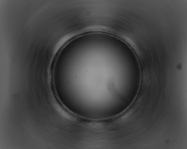 X0000091501082200708301953