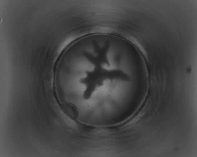 X0000091501083200708301953