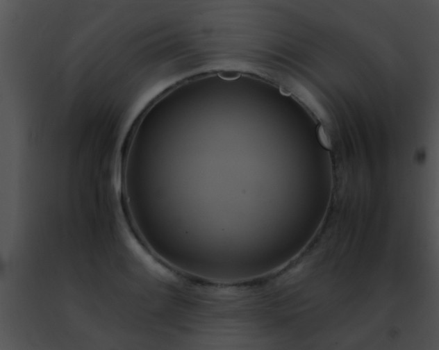 X0000091501084200708301953