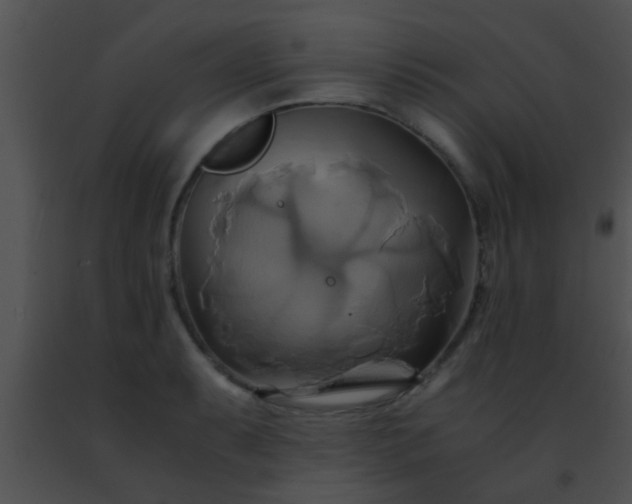 X0000091501087200708301953