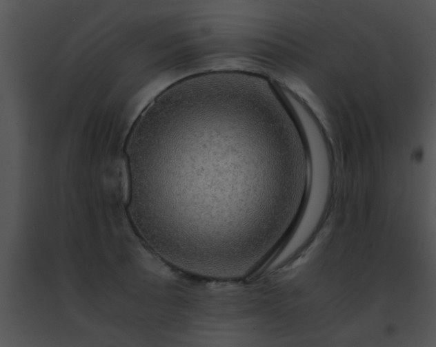 X0000091501089200708301953