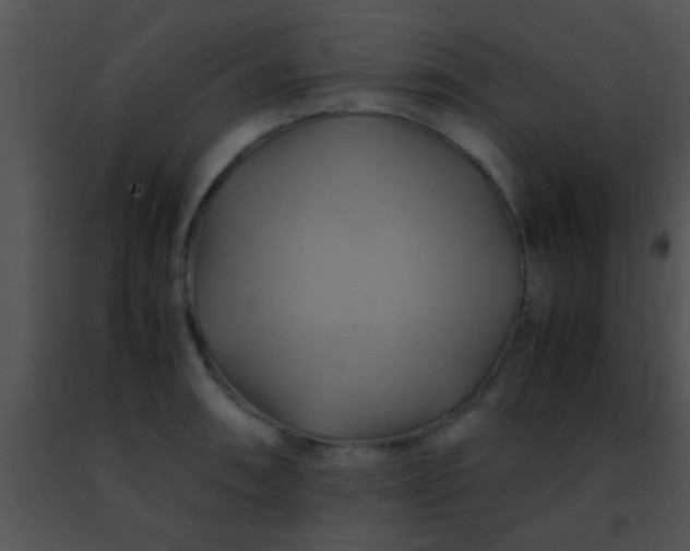 X0000091501090200708301953