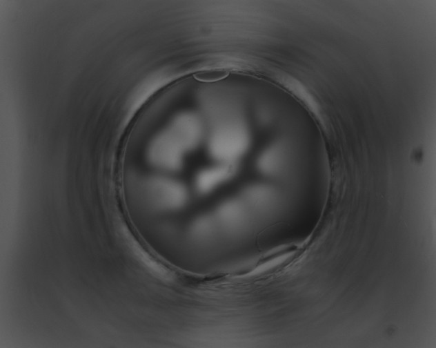 X0000091501091200708301953