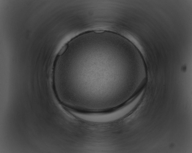 X0000091501093200708301952