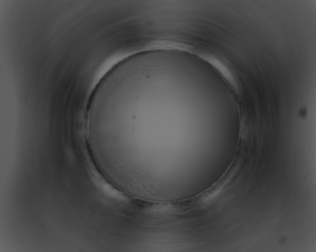 X0000091501094200708301952