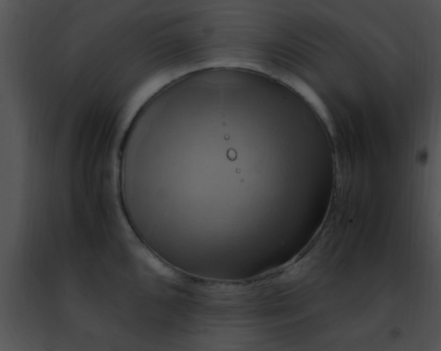 X0000091501096200708301952