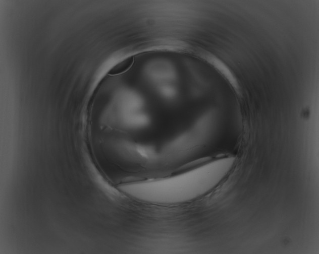 X0000091501099200708301952