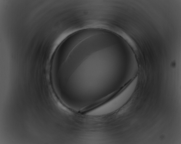 X0000091501102200708301952