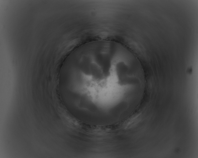 X0000091501105200708301952