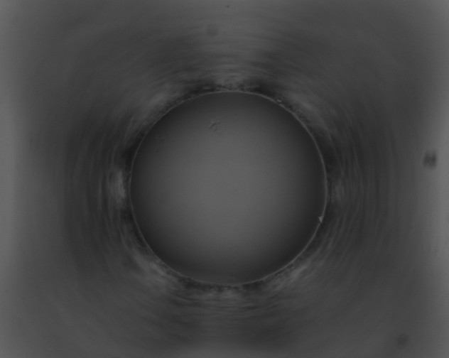 X0000091501106200708301952