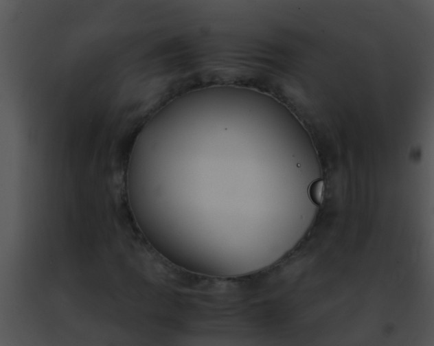 X0000091501109200708301952