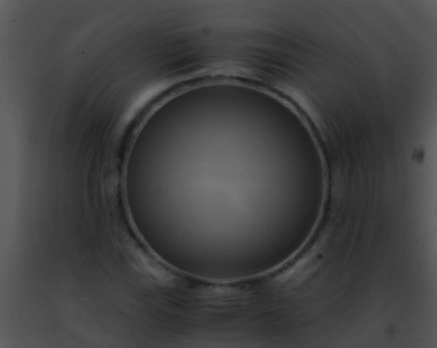 X0000091501115200708301952