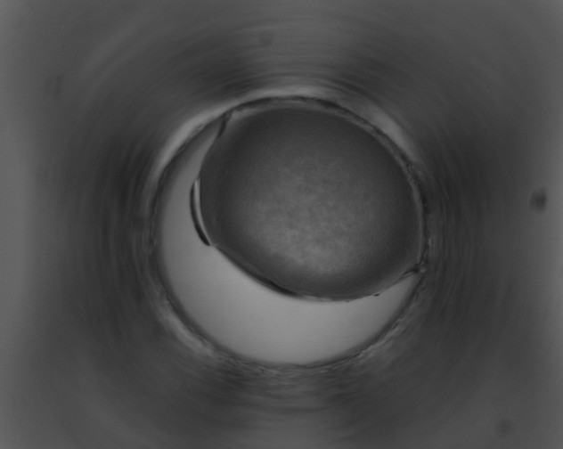 X0000091501116200708301952