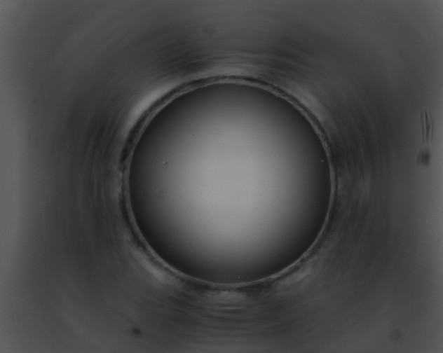 X0000091501119200708301952