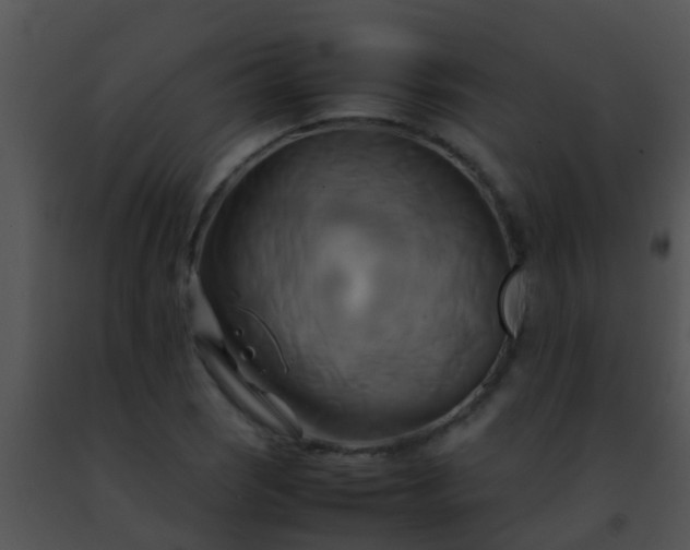 X0000091501121200708301952