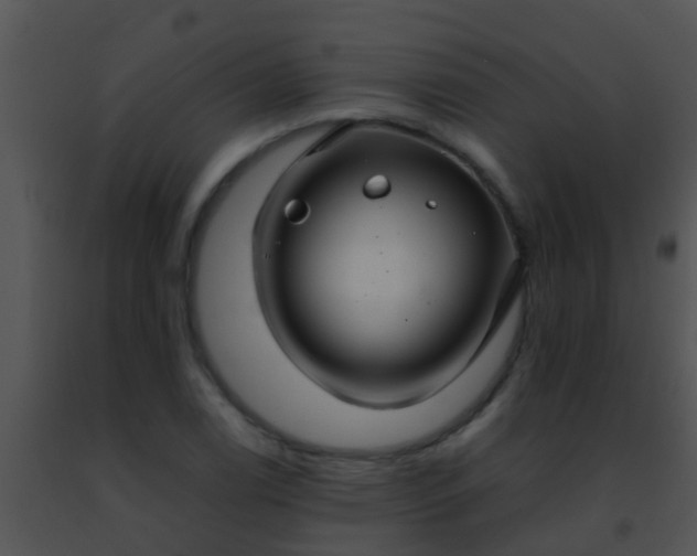 X0000091501122200708301952