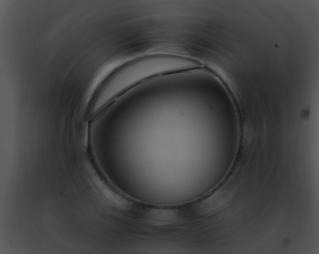 X0000091501123200708301952