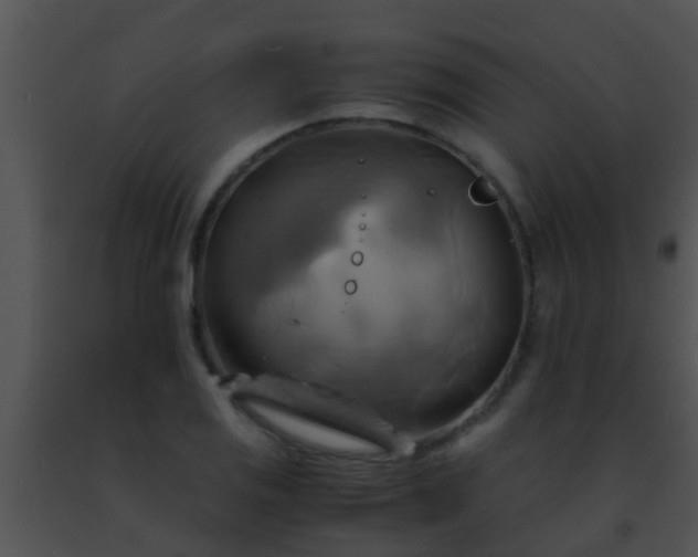 X0000091501125200708301952