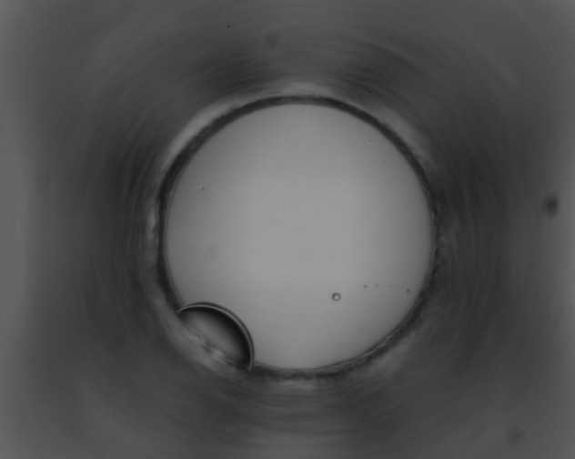 X0000091501126200708301952