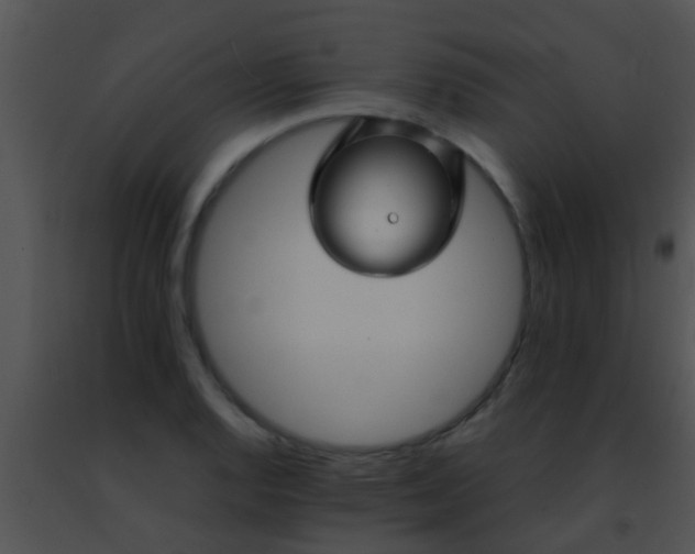 X0000091501128200708301952