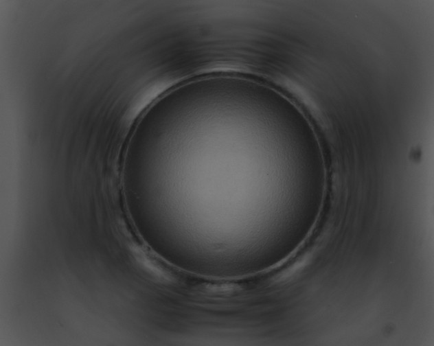 X0000091501129200708301952